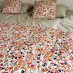 Spacious, Bright And Comfortable Bedrooms 拉内默藏