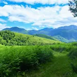 Spacious, Bright And Comfortable Bedrooms