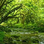 Spacious, Bright And Comfortable Bedrooms 拉内默藏