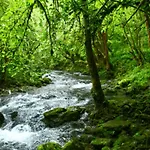 Spacious, Bright And Comfortable Bedrooms 拉内默藏