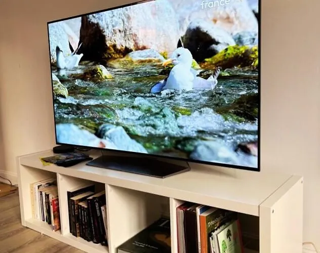 Spacious, Bright And Comfortable Bedrooms Dom wakacyjny Lannemezan