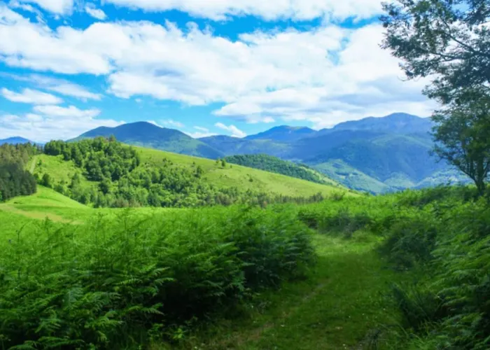 Spacious, Bright And Comfortable Bedrooms