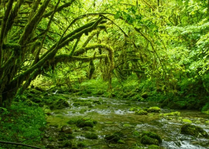 Spacious, Bright And Comfortable Bedrooms Lannemezan