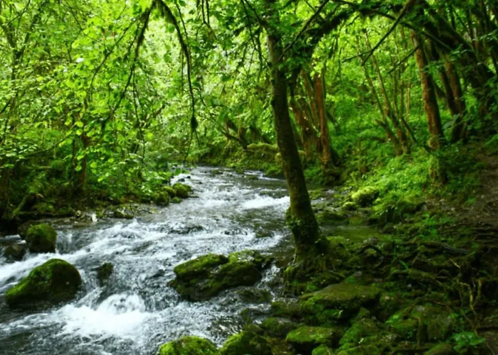 Spacious, Bright And Comfortable Bedrooms Lannemezan